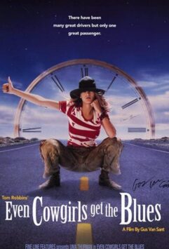 Смотреть Даже девушки-ковбои иногда грустят